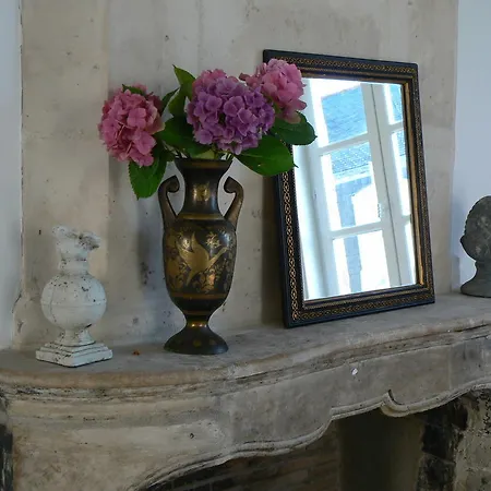 Petite Maison Romantique Au Calme, Coeur Historique Plantagenet, Vue Ville Le Mans Exterior foto