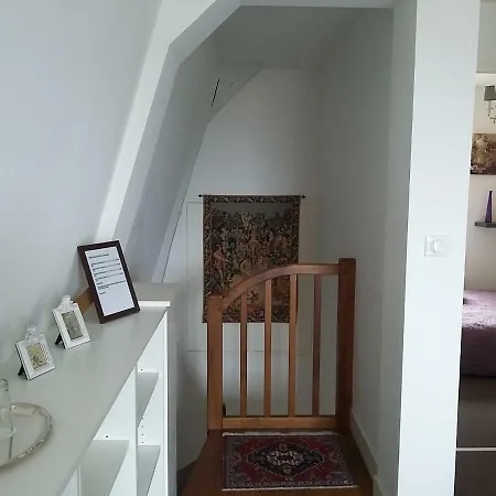 Petite Maison Romantique Au Calme, Coeur Historique Plantagenet, Vue Ville Le Mans Exterior foto