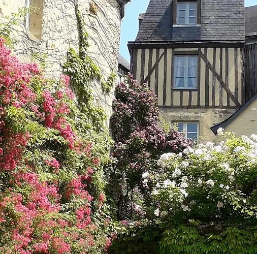 Petite Maison Romantique Au Calme, Coeur Historique Plantagenet, Vue Ville