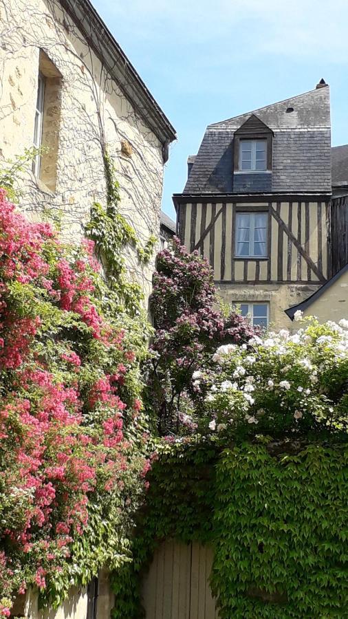 Petite Maison Romantique Au Calme, Coeur Historique Plantagenet, Vue Le Mans
