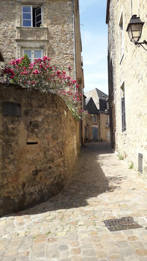 Petite Maison Romantique Au Calme, Coeur Historique Plantagenet, Vue *