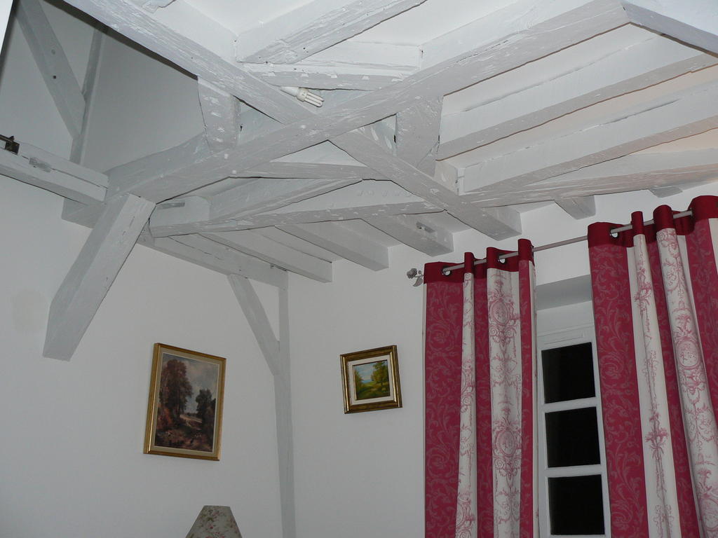 Apartment Petite Maison Romantique Au Calme, Coeur Historique Plantagenet, Vue Le Mans